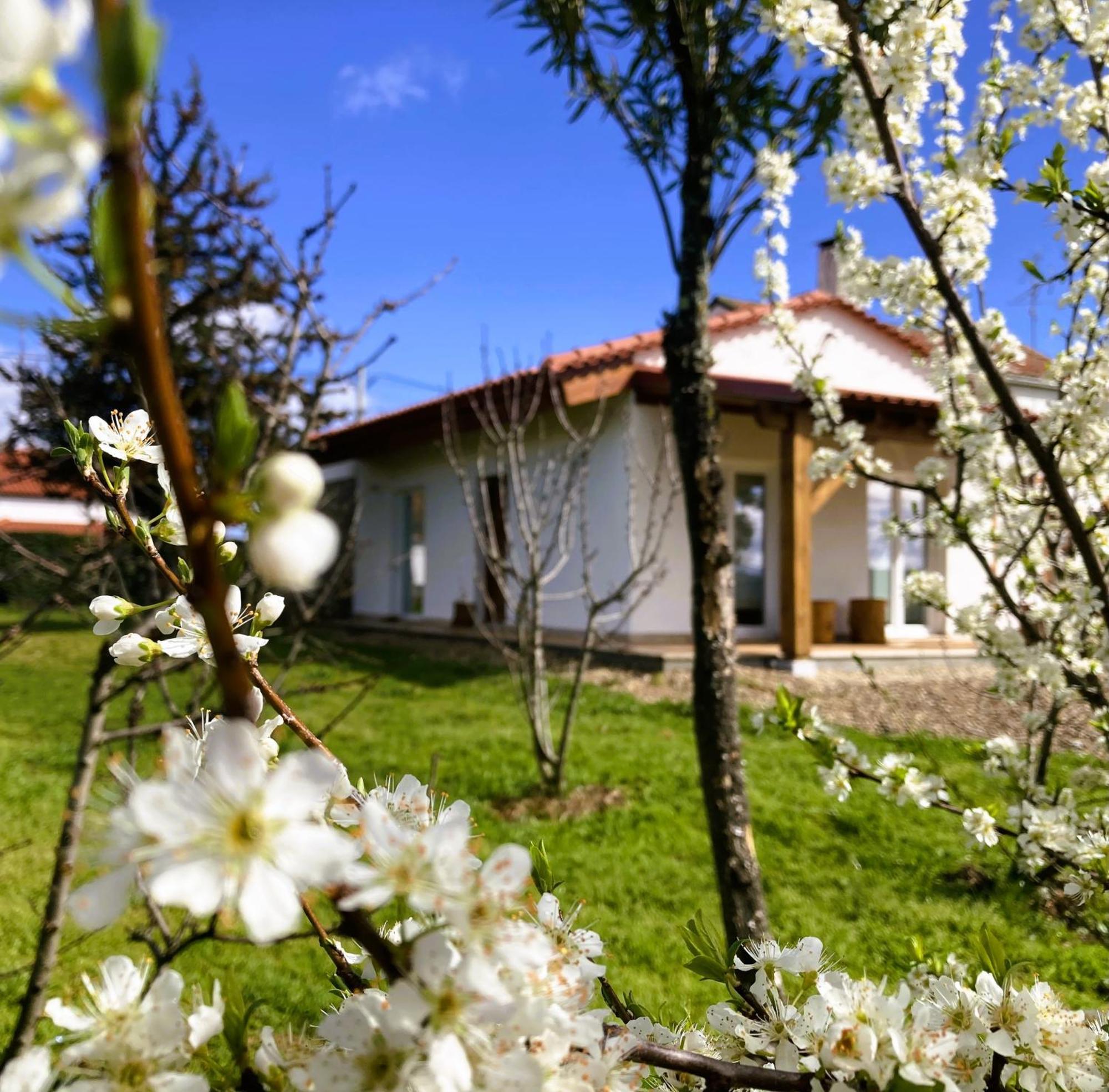 Ar Da Beira - Serra Da Estrela Belmonte  Exterior photo